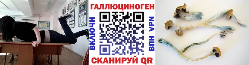 цены   Приволжский  mega как войти  Галлюциногенные грибы Cubensis 